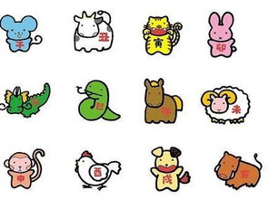 日是什么生肖年，后年是哪个生肖的年，这二者之间有什么联系？