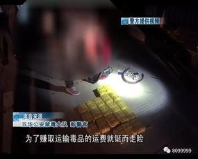 4. 《赌馆幽灵》出版信息及其象征意义