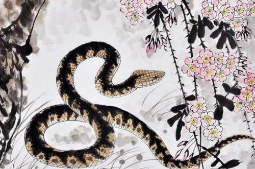 2026年属蛇本命年为什么不能带某些东西？本命年衣服又是什么寓意？