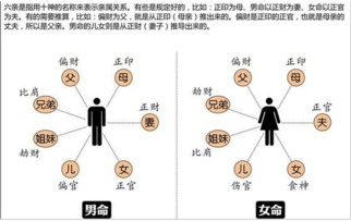女性八字中十神对事业运势究竟有何具体影响？