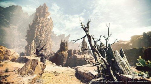 时柱——晚景归宿与子女关系之映照