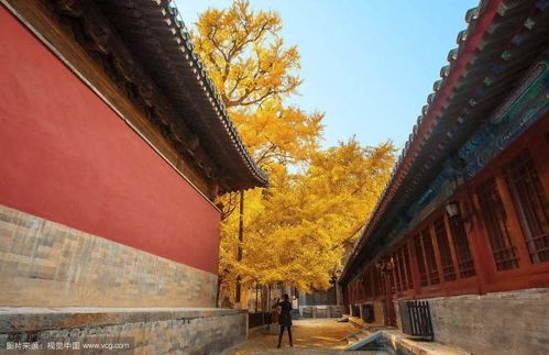 三、 风水视角下的田宅宫——居所安危与财运走向