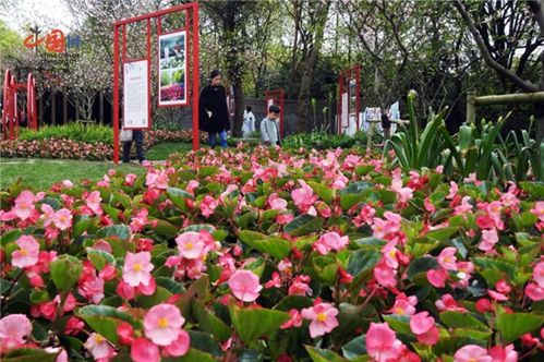 门票价格让你怀疑人生