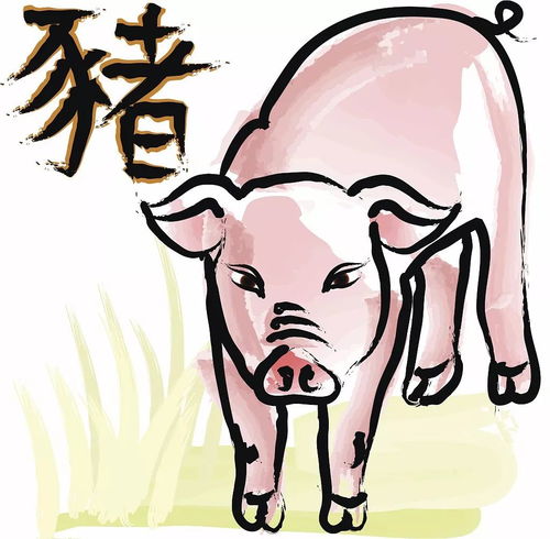 猪猪今天要原地爆炸了！