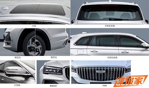 提车前的必要准备：细致检查与风险规避