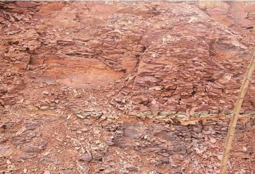 2.1 土质对气场聚散的影响