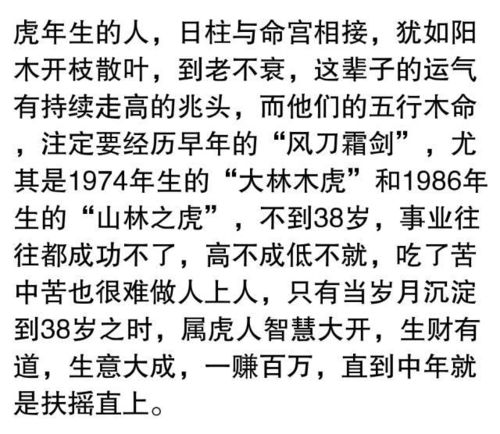 1.2 生肖命理视角下创始人的决策倾向