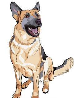 46年属狗的人用手机号吉凶如何，今日吉凶如何判断？