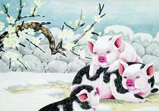 属猪女生在鼠年运势如何？鼠年生肖吉祥物是什么？