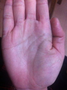 2017年赌王手相特征图解，女性手相大全有哪些特点？