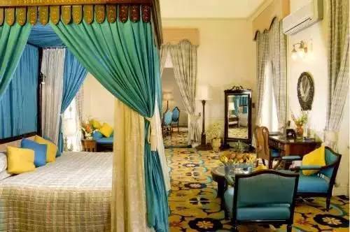 金钱树：财运亨通与贵人相助之双重寓意