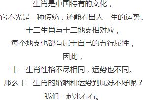 ：关于婚姻时机与命运的深度探究