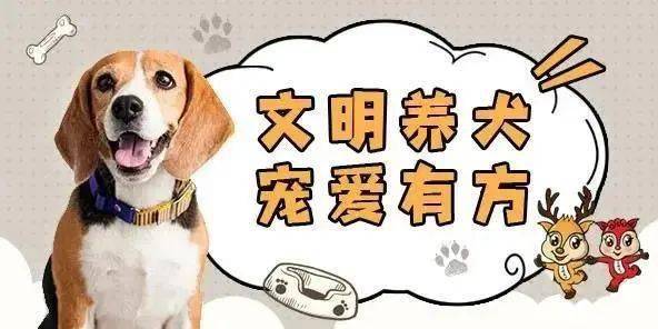 2.2 社会伦理视角下对动物福利的基本要求