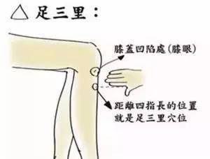 1. 阳池穴：手背通络之枢纽