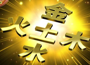 优雅与美良好的化身——婷
