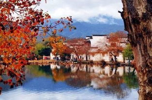 四、结合地域特色