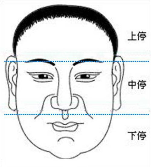 三停的划分及其意义