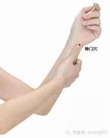 中医角度的解析