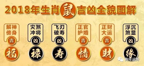 属龙的人在哪一年会刑太岁，需要改换生肖旺运手机号吗？