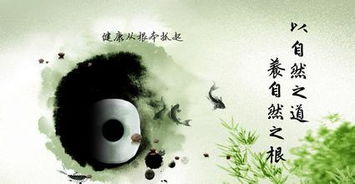 肠胃功能的调理与修复