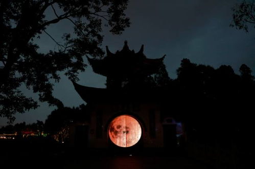 一、 引子：迷雾笼罩下的禁地与传说