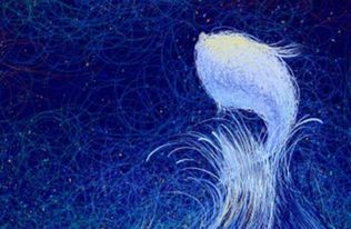 属猪水瓶座2026年事业运和属猪射手座2026年事业运具体如何？