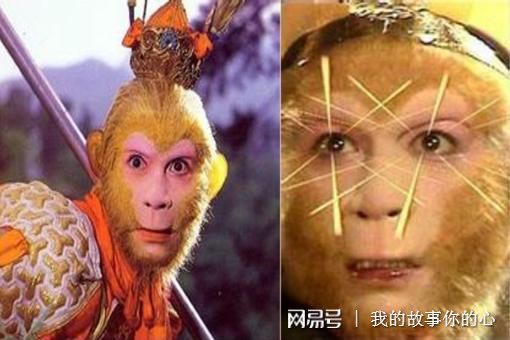 火眼金睛的生肖是什么？打一生肖中火眼金睛指的是哪个生肖？