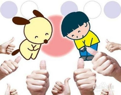 理论背景：生肖性格与心理发展