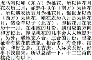 情感算法及其早期掌握者