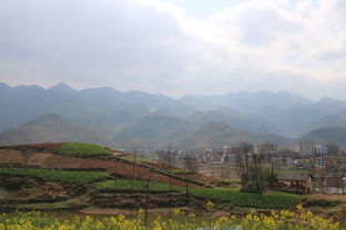 风水不佳是否意味着必须进行迁坟处理？