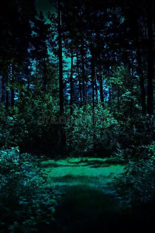 一、 探究背景与目的概述