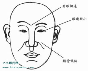 男性手相解析：洞悉性格与命运