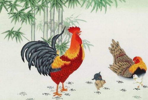 2026年属鸡11月22日财运如何？运势怎样？