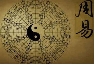 算命瞎子免费预测今年财运方向如何？