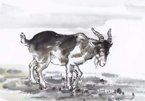 1967年属羊天上火命女性财运如何，预示着怎样的财富运势？