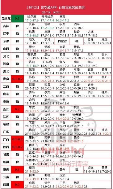 四、 行业细分中的吉日日程安排建议
