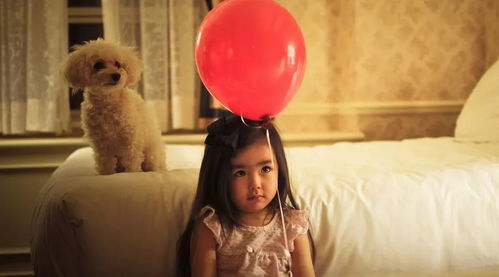 桐一 –  好家伙, 直接数字命名?