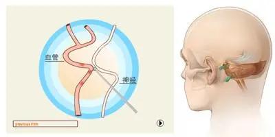 一、 生肖学视角下左眼跳动的象征意义