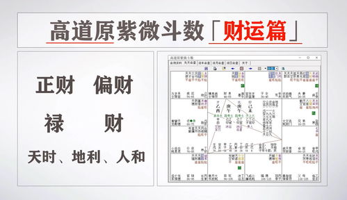 紫微斗数中财运格局概述