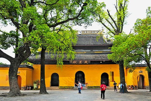 周边美食避雷指南