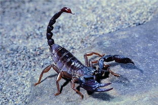 那些让人哭笑不得的景点