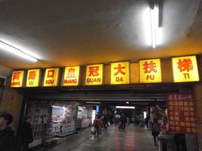 交通和环境的现实问题