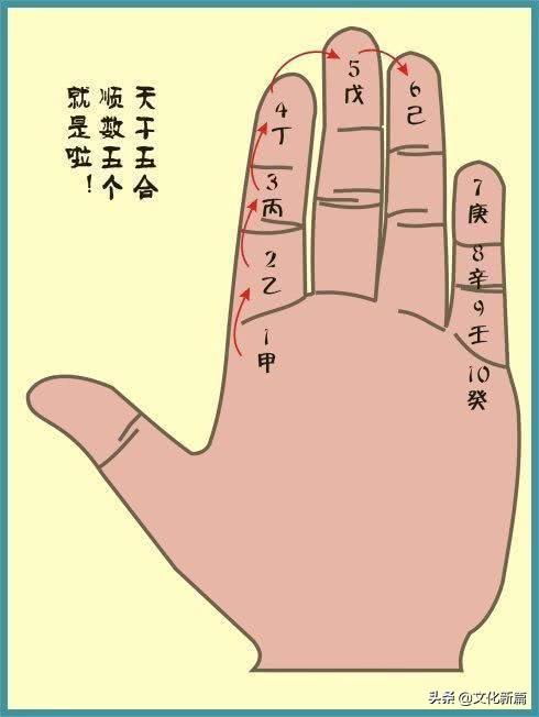 （二）拇指的长度与人格特质关联