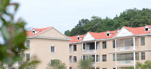 2026年6月拆旧房选哪几天最吉利？有没有特别好的拆房建房吉日推荐？