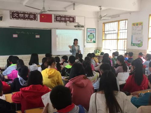 四、  国学素养与专业知识的深度剖析