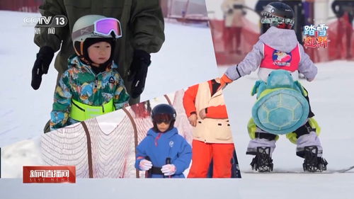 一、 沉浸式桌面体验的技术实现与个性化解锁路径