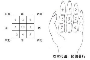女生八字辛金丙火，婚姻运势如何？有没有什么改善建议？