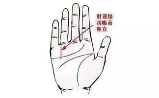 事业线始于月丘：明确目标与坚定信念的体现