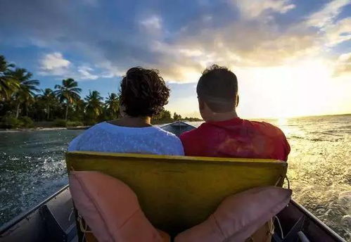 飞机上的平安演示视频堪了八遍