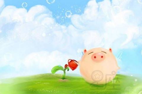 1995年属猪人2026年农历四月运势及每月运势具体是什么？